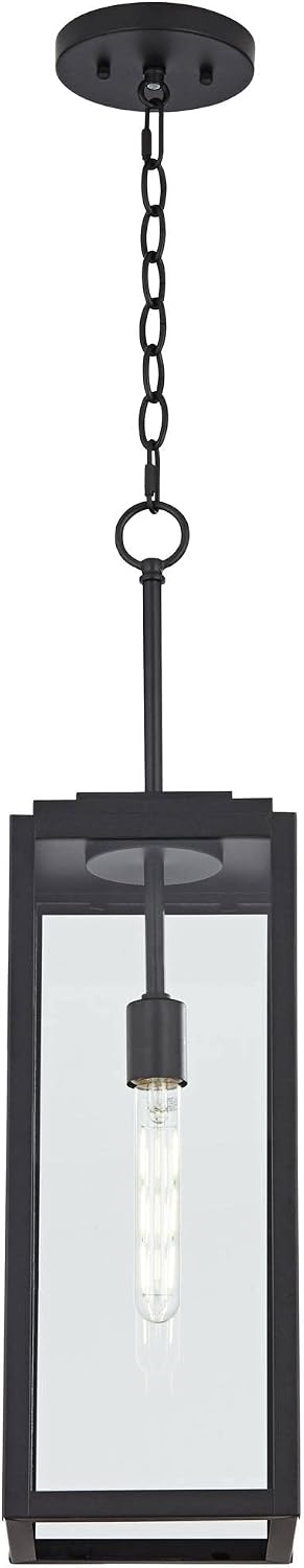 Mystic Black Clear Glass Outdoor Pendant