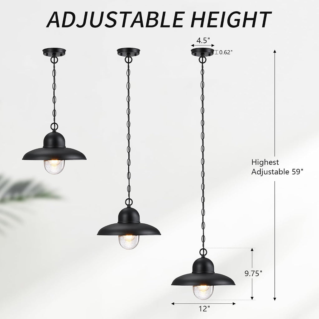 Black Farmhouse Bubble Glass Outdoor Pendant Light