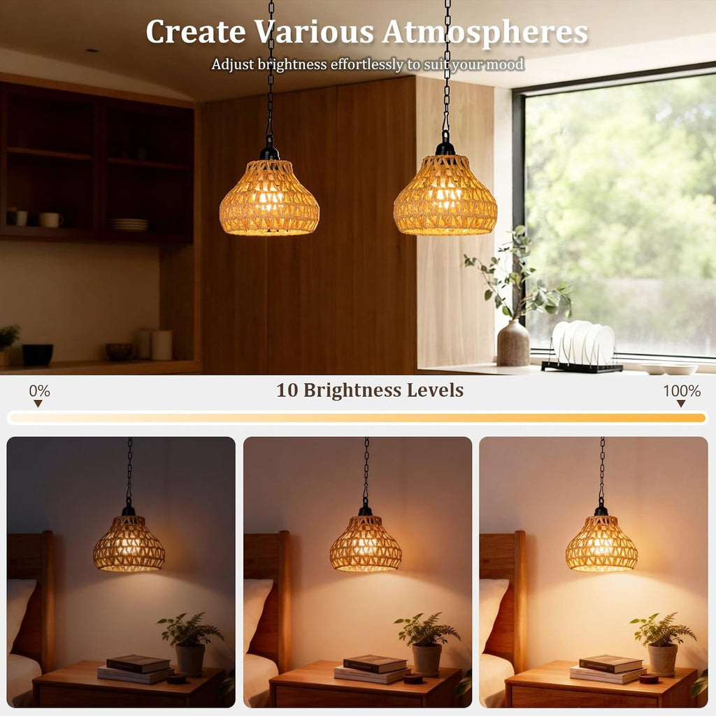 Remote Battery Outdoor Pendant 2 Pack