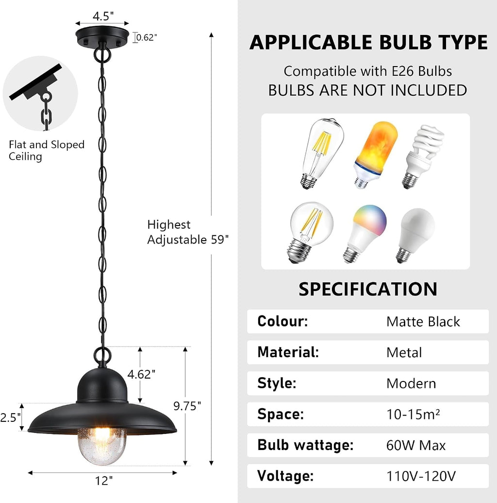 Black Farmhouse Bubble Glass Outdoor Pendant Light