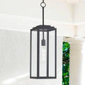 Mystic Black Clear Glass Outdoor Pendant