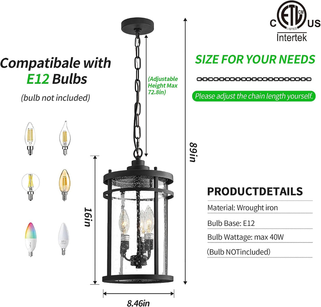 Matte Black Industrial Clear Glass Outdoor Pendant Light