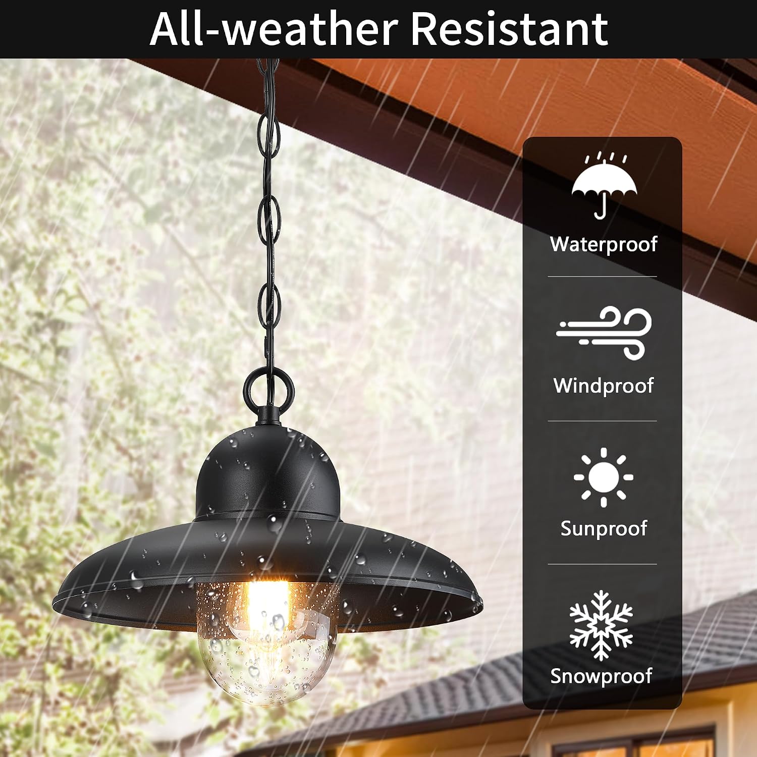 Black Farmhouse Bubble Glass Outdoor Pendant Light