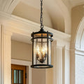 Matte Black Industrial Clear Glass Outdoor Pendant Light