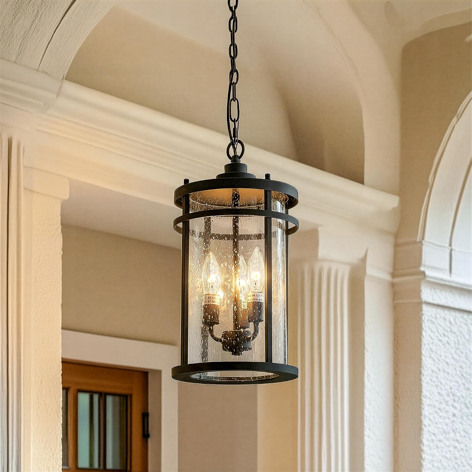 Matte Black Industrial Clear Glass Outdoor Pendant Light