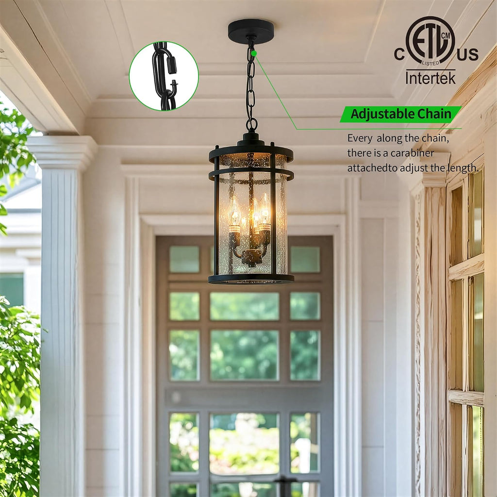 Matte Black Industrial Clear Glass Outdoor Pendant Light