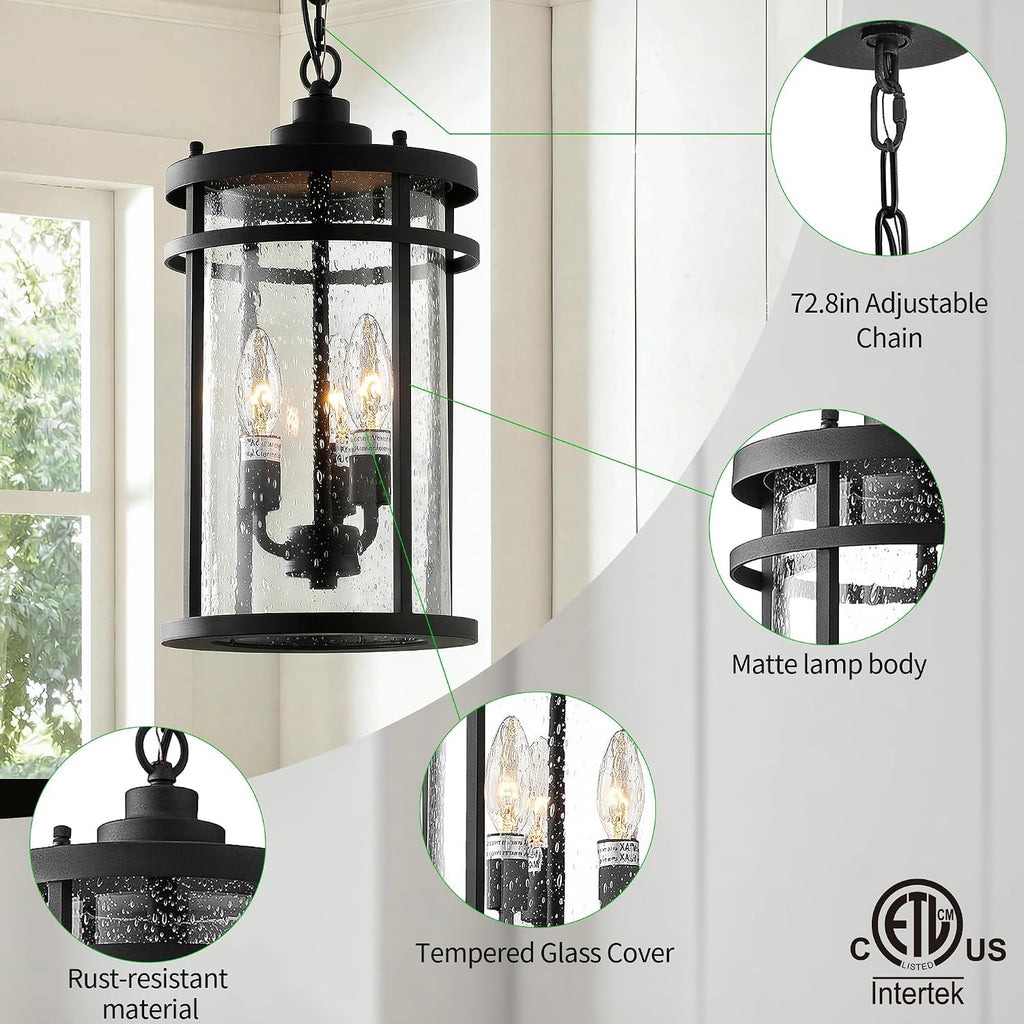 Matte Black Industrial Clear Glass Outdoor Pendant Light