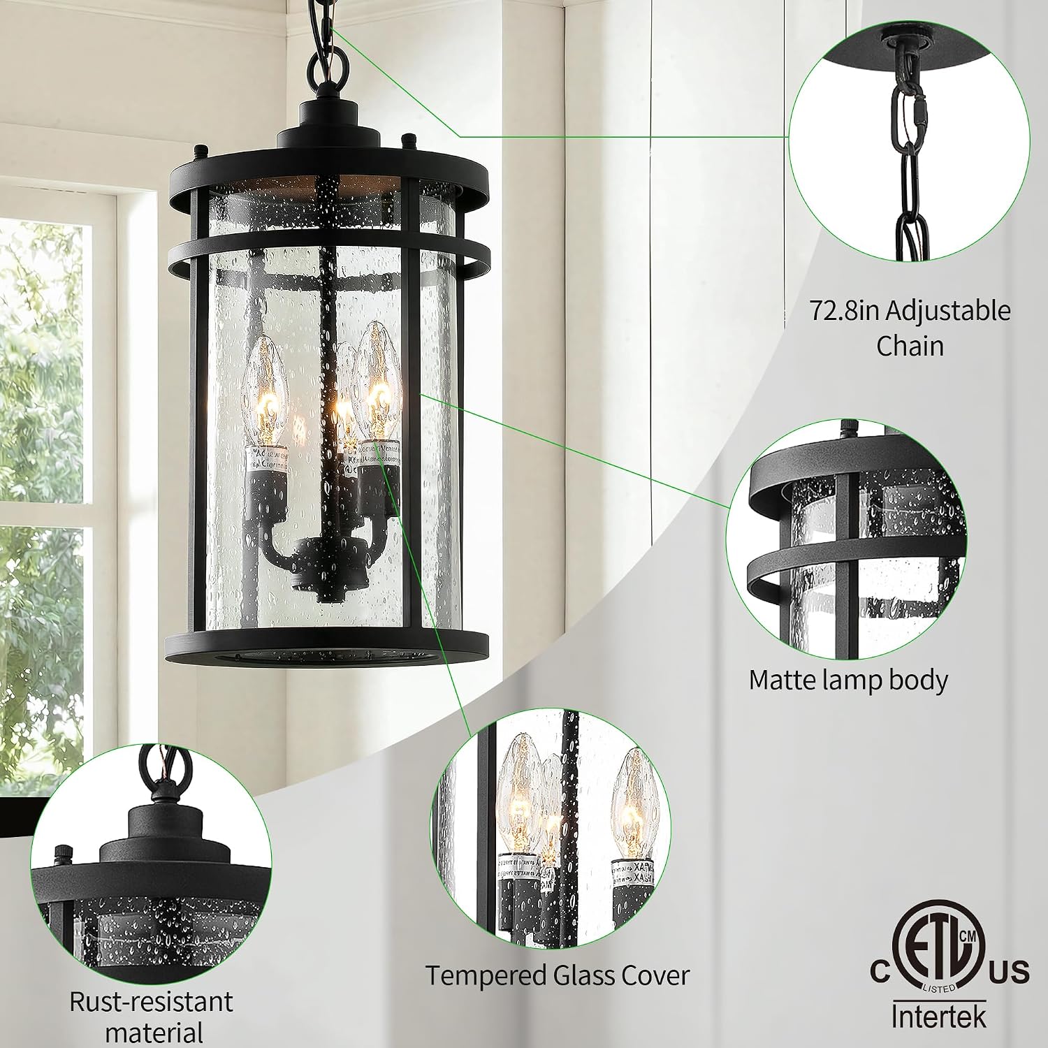 Matte Black Industrial Clear Glass Outdoor Pendant Light