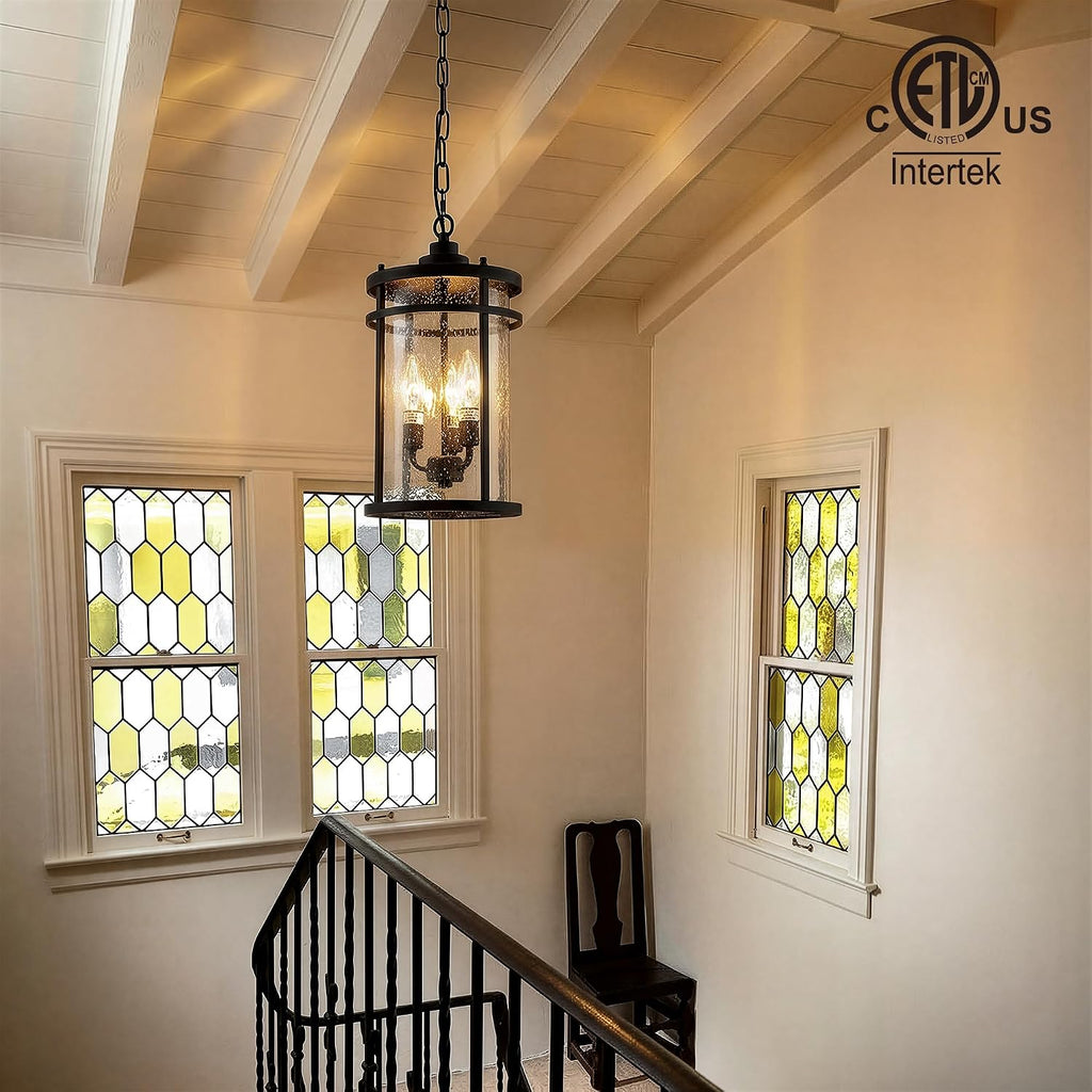 Matte Black Industrial Clear Glass Outdoor Pendant Light