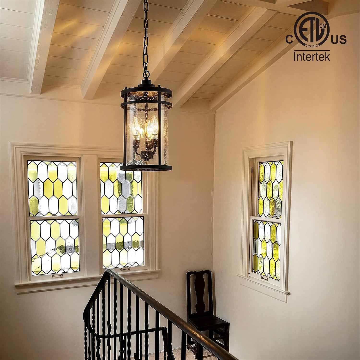 Matte Black Industrial Clear Glass Outdoor Pendant Light