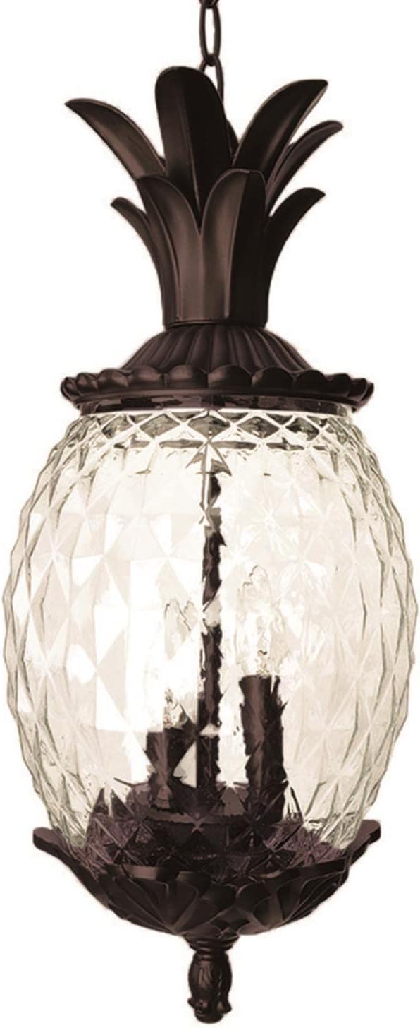3-Light Black Coral Outdoor Hanging Lantern