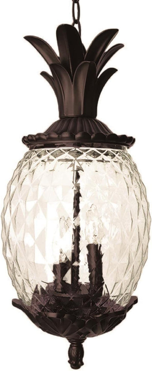3-Light Black Coral Outdoor Hanging Lantern